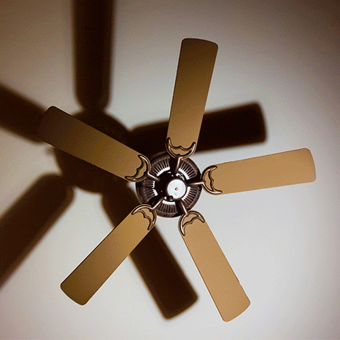 Ceiling fan and standing fan.